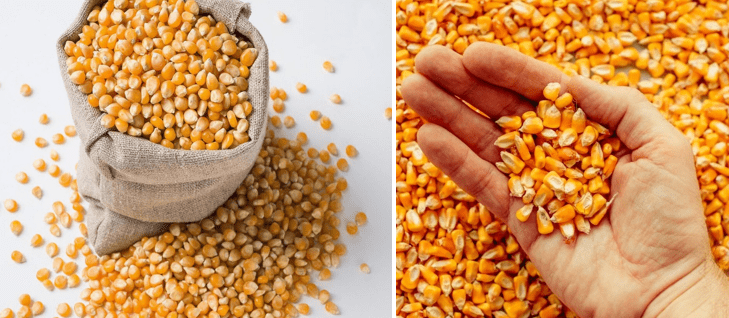 кукуруза цельное зерно