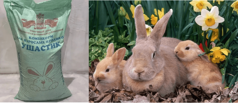 комбикорм для кроликов Ушастик