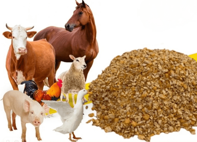 колотая кукуруза для сельскохозяйственных животных и птиц 
