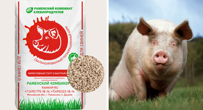 комбикорм для откорма свиней