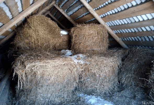 Как правильно и где хранить сено зимой