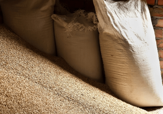 хранение пшеницы