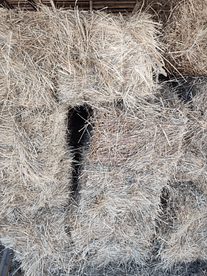Отборное луговое сено в тюках 35x45x70 см